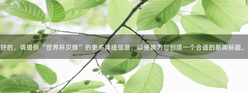 世界杯官网:好的,请提供“世界杯贝嫂”的更多详细信息,以便我为您创建一个合适的新闻标题。