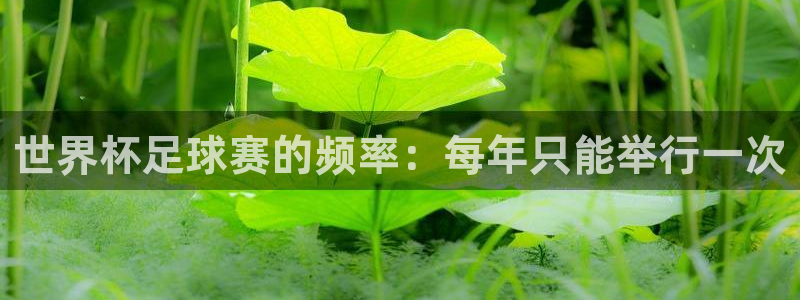 世界杯赛程时间表:世界杯足球赛的频率:每年只能举行一次