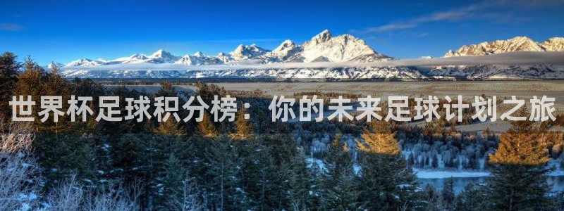 世界杯女足直播:世界杯足球积分榜:你的未来足球计划之旅
