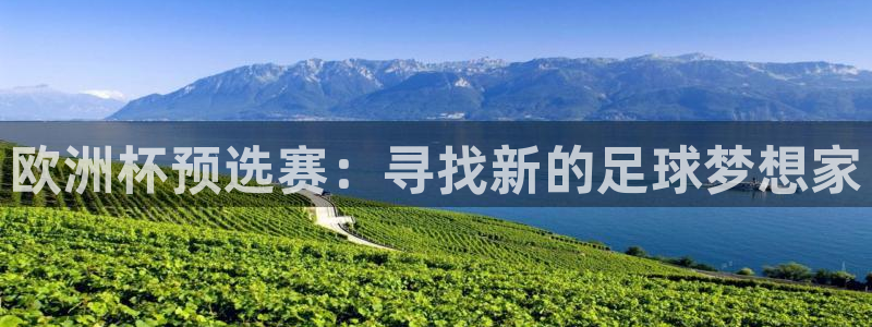 世预赛欧洲赛程表:欧洲杯预选赛:寻找新的足球梦想家