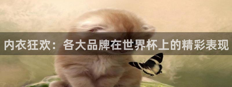 2026年世界杯赛程:内衣狂欢:各大品牌在世界杯上的精彩表现
