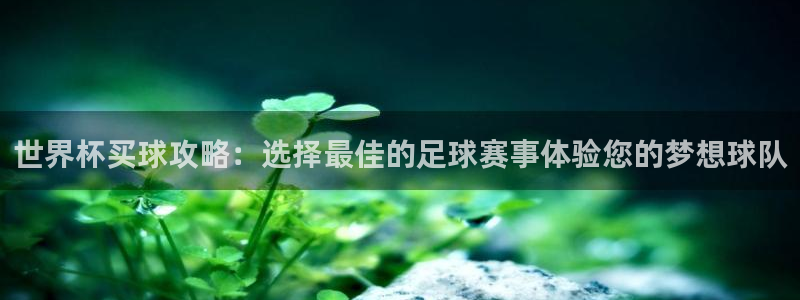 世界杯决赛圈球队:世界杯买球攻略:选择最佳的足球赛事体验您的梦想球队