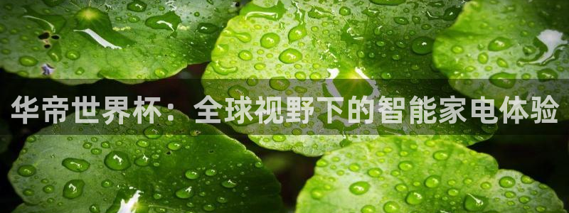 2026男足世界杯:华帝世界杯:全球视野下的智能家电体验
