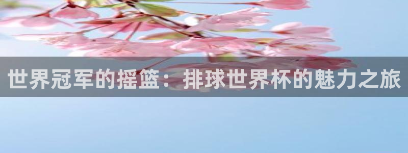 世界杯预选赛赛程:世界冠军的摇篮:排球世界杯的魅力之旅