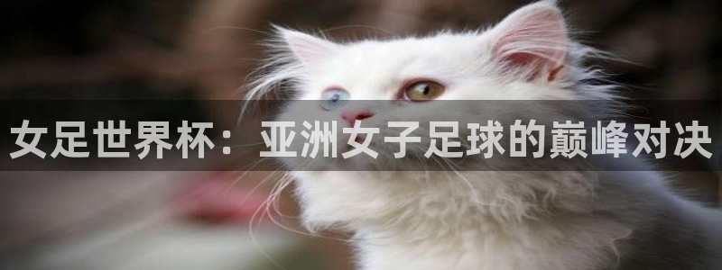 欧联杯直播:女足世界杯:亚洲女子足球的巅峰对决